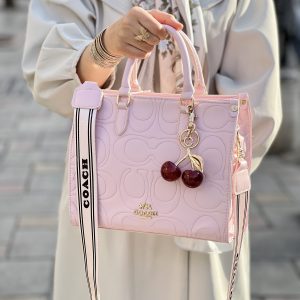 کیف طرح coach مدل گیلاس
